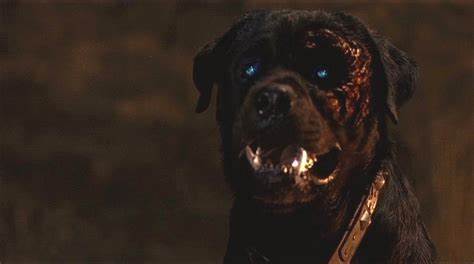 Monster of the Day #3311