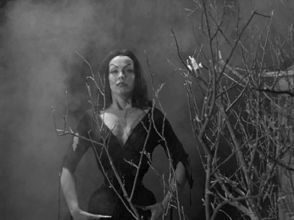 Monster of the Day #3349