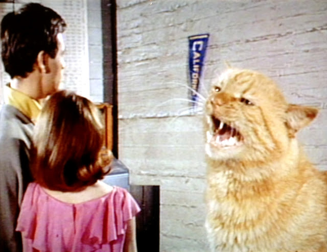 Monster of the Day #3366