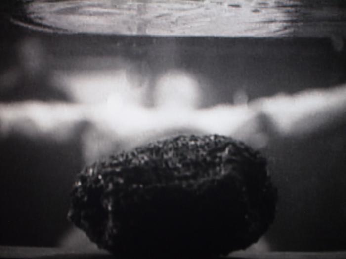 Monster of the Day #3379