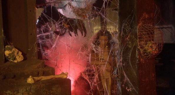 Monster of the Day #3504