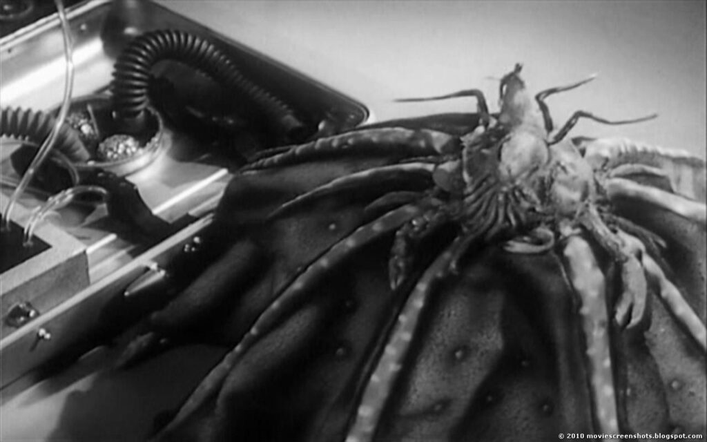 Monster of the Day #3513