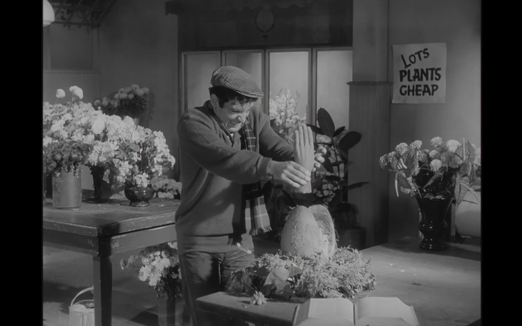 Monster of the Day #3520