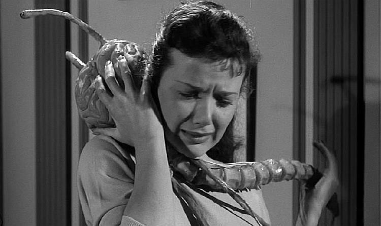 Monster of the Day #3514