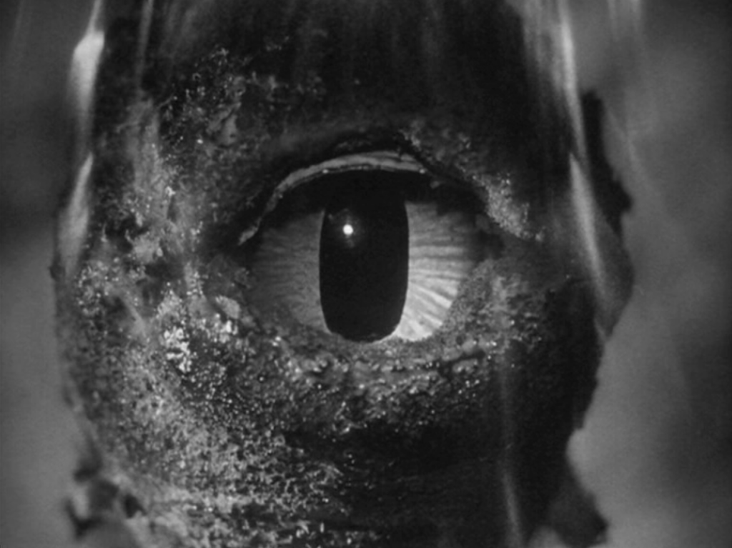 Monster of the Day #3640