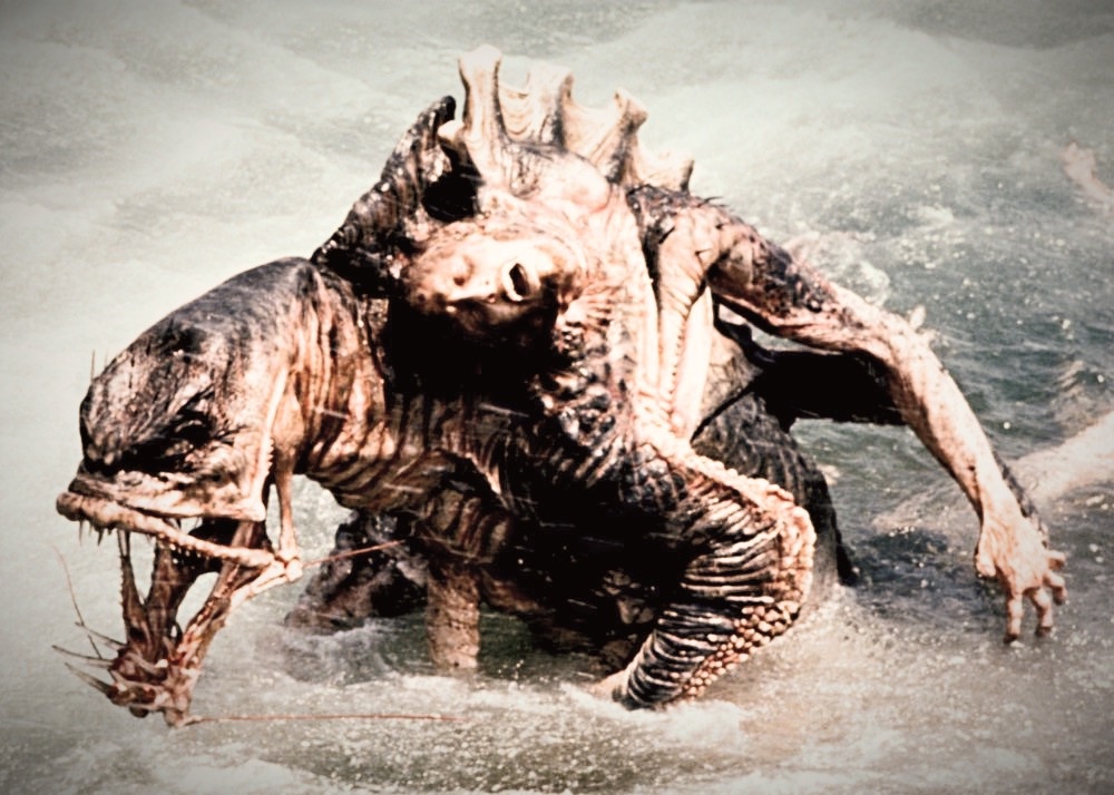 Monster of the Day #3648