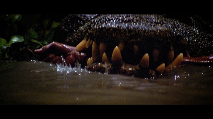 Monster of the Day #3682