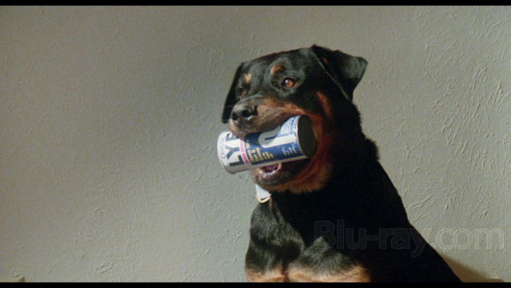 Monster of the Day #3697