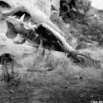 Monster of the Day #3730