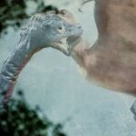 Monster of the Day #3746