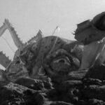 Monster of the Day #3822