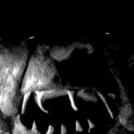 Monster of the Day #3810