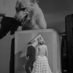 Monster of the Day #3815