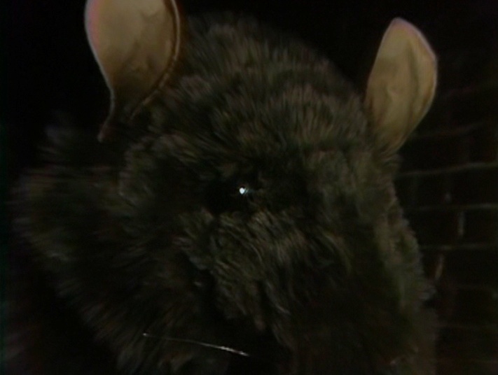 Monster of the Day #3847